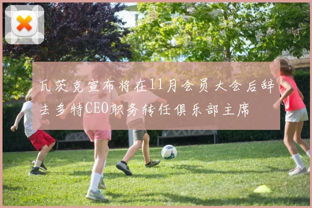 瓦茨克宣布将在11月会员大会后辞去多特CEO职务转任俱乐部主席