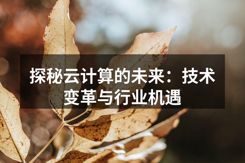 探秘云计算的未来：技术变革与行业机遇